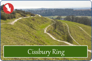 Cissbury Ring