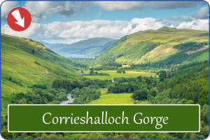 Corrieschalloch Gorge