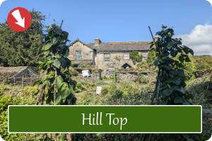 Hill Top