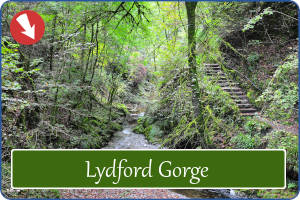 Lydford Gorge