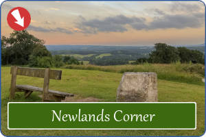 Newlands Corner